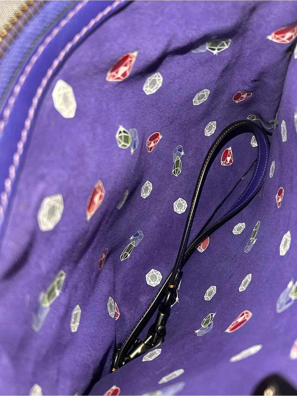 Coach x Disney Rogue Bag, Limited Edition 1941 Collection